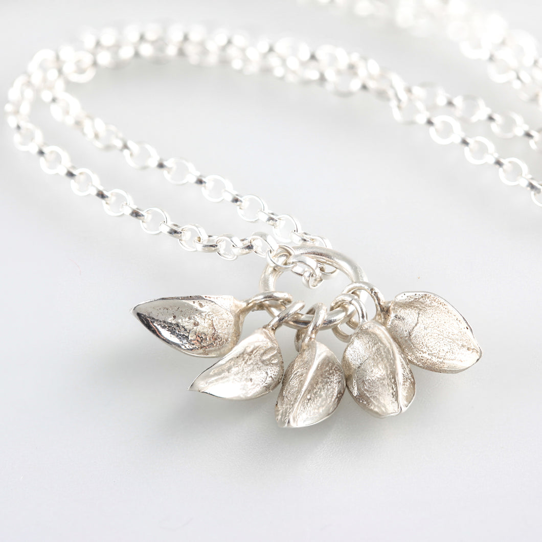 Beech mast collection w 5  sterling silver nuts