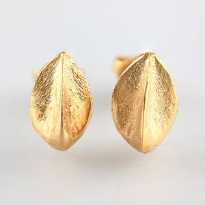 Beech Mast Collection 9ct ear studs