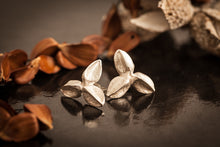 Load image into Gallery viewer, bech-mast-collection-silver-studs-3-nuts
